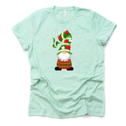 Apple Gnome, Cute Gnome with Apples, Apple Harvest Gnome Design on premium unisex shirt, 2 color choices, plus sizes available