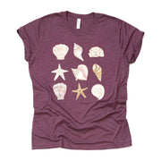 Beach and Vacation Tee, Pretty Shells In a Row, Seashells Design on premium unisex shirt, 3 color choices, 3x beach, 4x beach, plus sizes